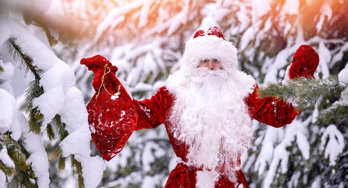Дед Мороз с мешком подарков в снежном лесу. Источник фото: shutterstock.com