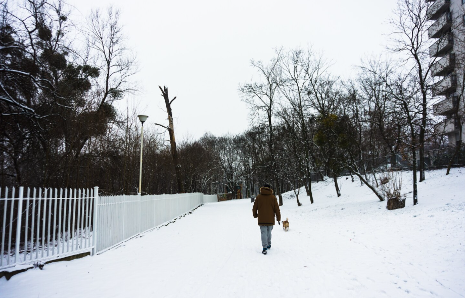 Фото: freepik / wirestock