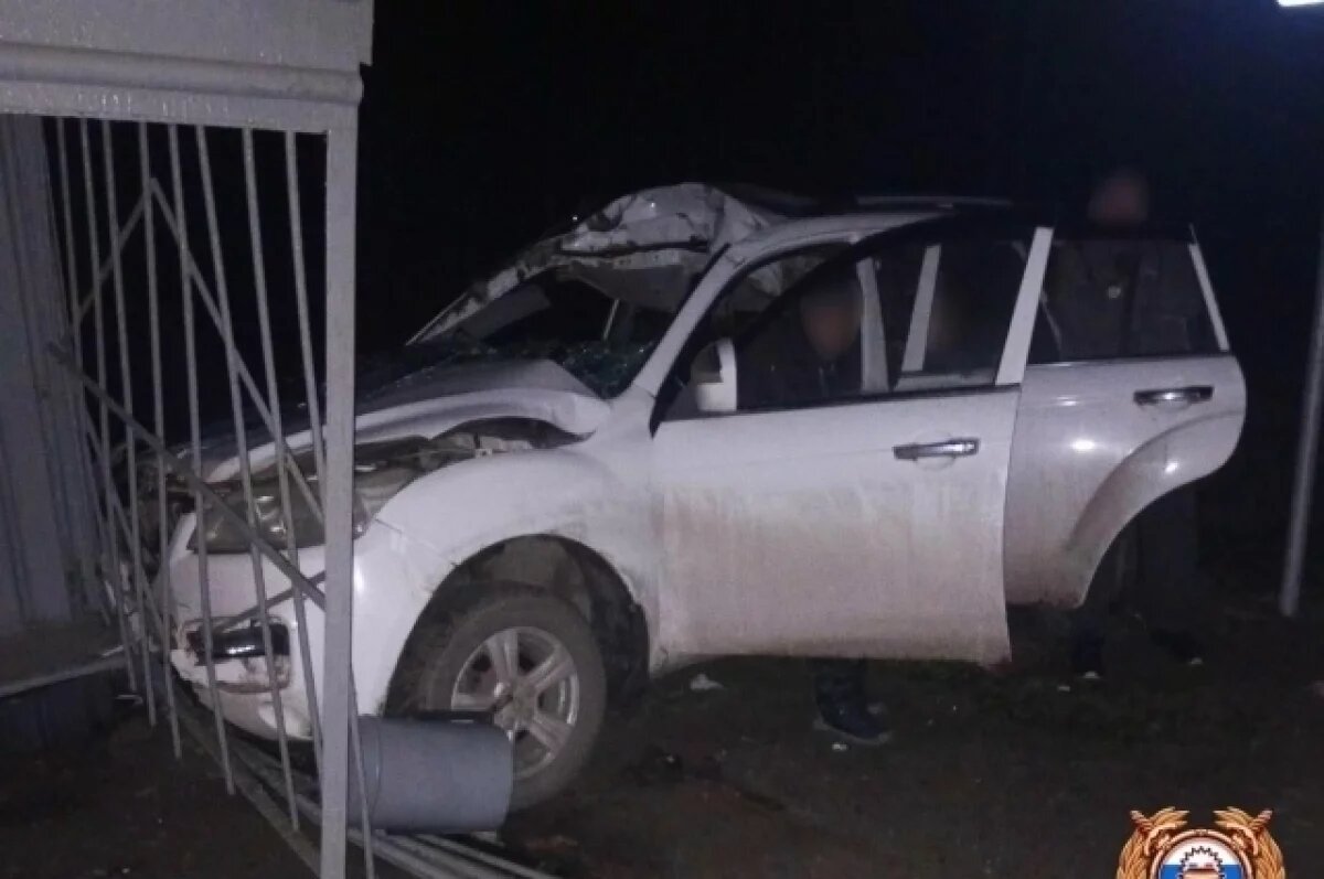    В Тверской области водитель сбил лося и врезался в остановку