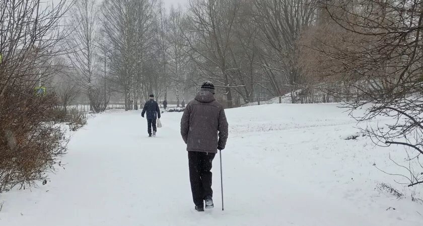    Фото progorod43.ru