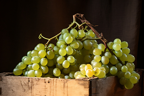    Фото: freepik. com