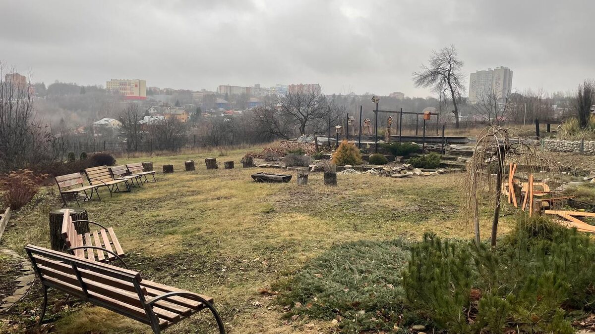 фото из телеграм-канала Максима Левина