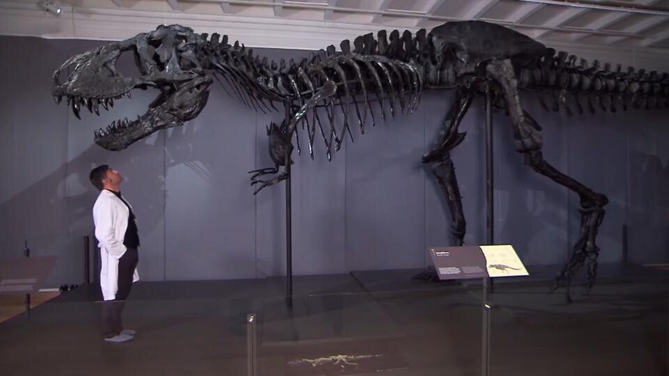 ФОТО: Кадр из программы "Загадки человечества", РЕН ТВ