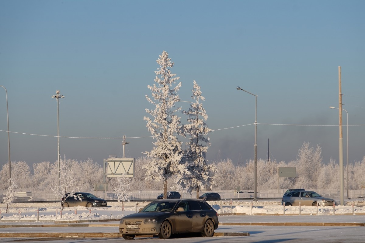     Фото: Вечерние ведомости