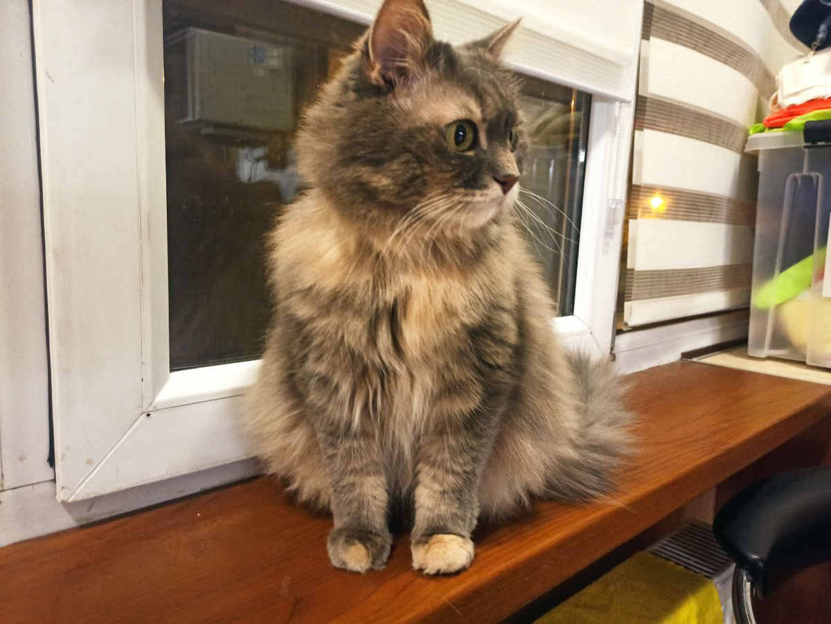 Маняха сбавила градус возмущения