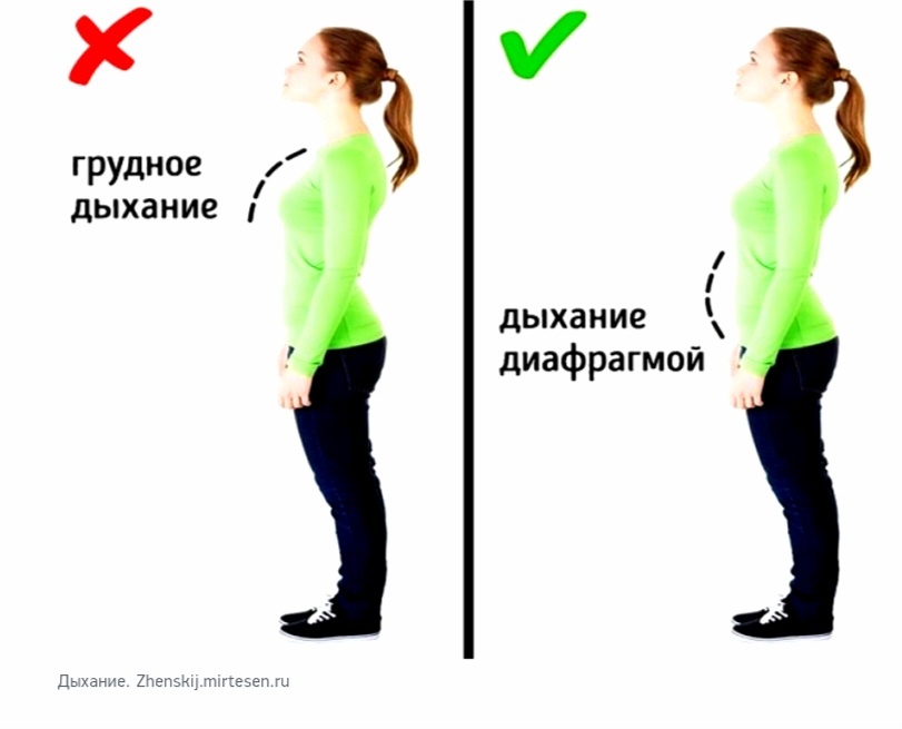 Источник: Яндекс картинки. 