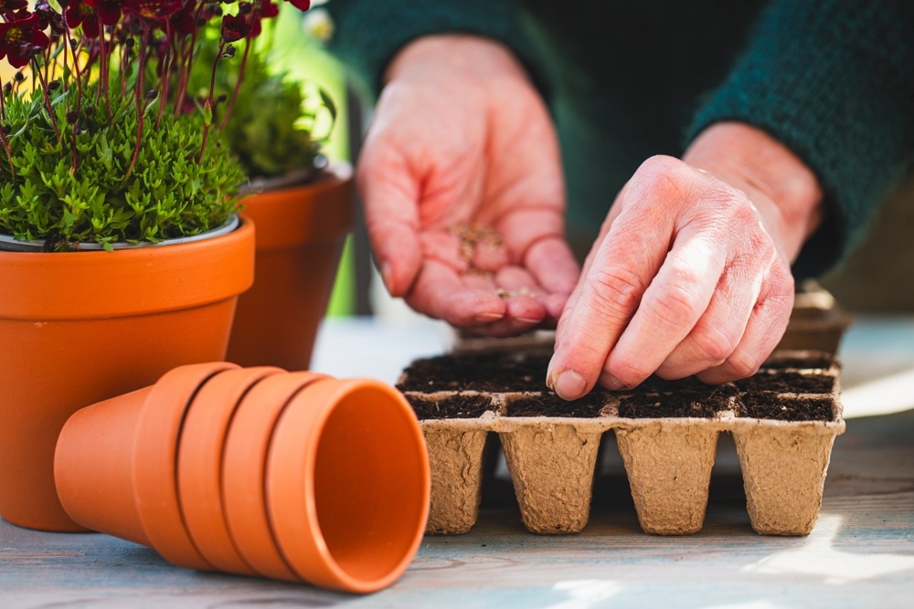 Источник фото shutterstock.com