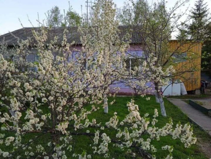    Фото:пресс-служба министерства социальной защиты Хабаровского края