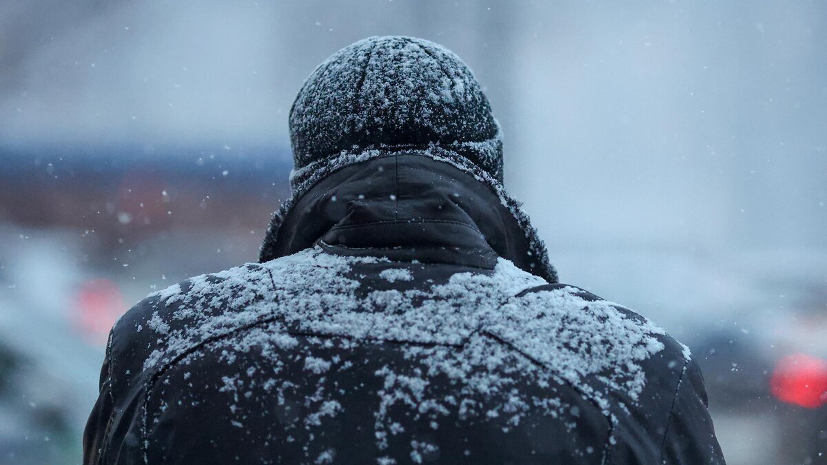    Фото: Belkin Alexey/globallookpress.com