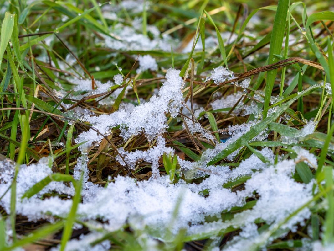    Фото: Сергей Усков