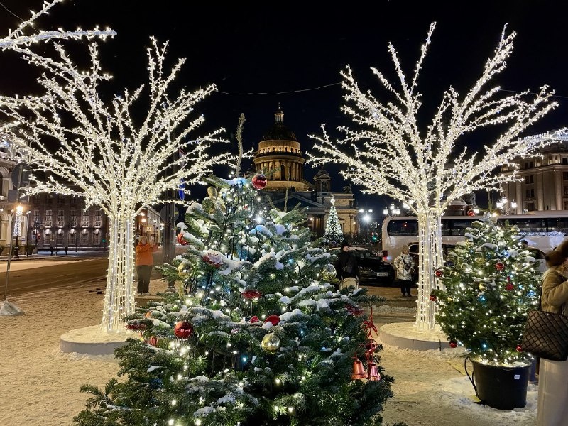 https://rodionov-club.ru/blog/2025/12/08/novogodnij-sad-2025-2026-u-mariinskogo-dvorca-na-sinem-mostu/