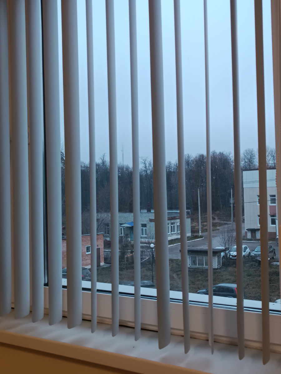 Вид из окна