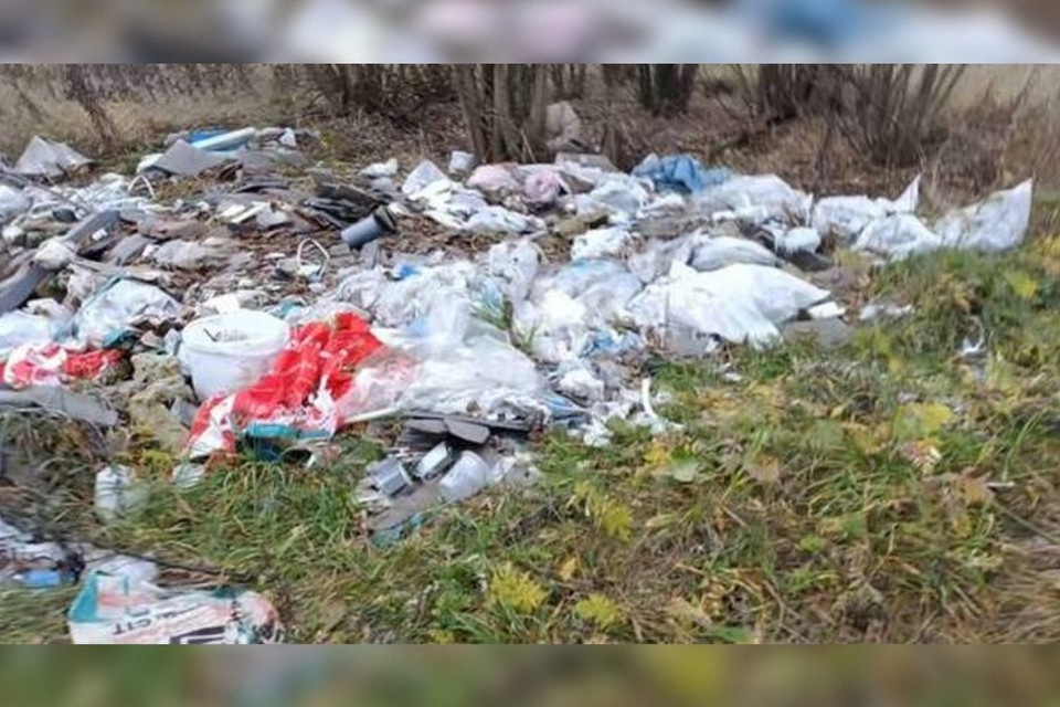    Незаконная свалка с химико-токсикологическим ущербом почве найдена под Рязанью.
