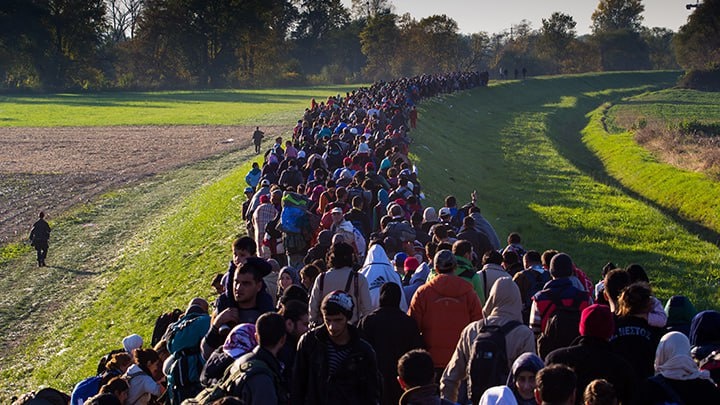     На фоне снижения рождаемости коренного населения происходит массовая миграция людей совсем иных культур, а чаще - полного первобытного бескультурья. Идёт планомерное снижение качества населения. Фото: Janossy Gergely/Shutterstock