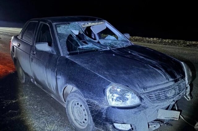    Фото: Госавтоинспекция Кировской области