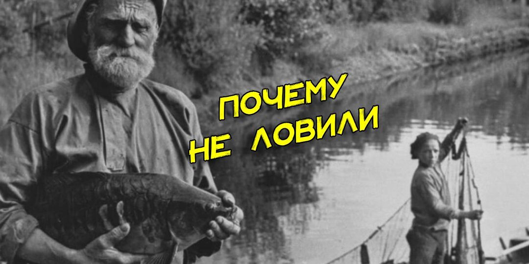 Старый охотник открыл мне глаза: почему жители блокадного Ленинграда не ловили рыбу, хотя город окружен водоёмами