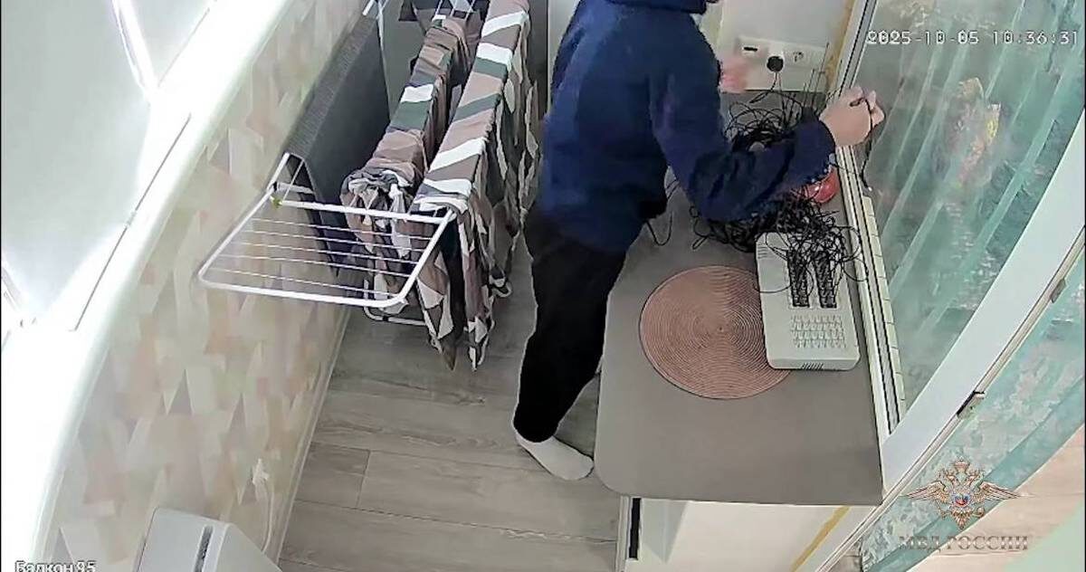    Фото: Скриншот видео / Ирина Волк / Telegram