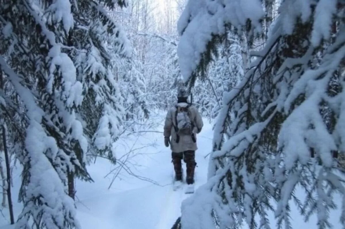    На Камчатке спасатели не обнаружили пропавшего мужчину в охотничьем домике