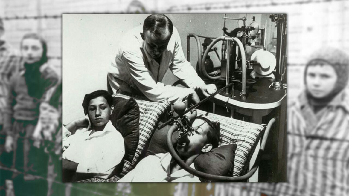 Фото из свободных источников.