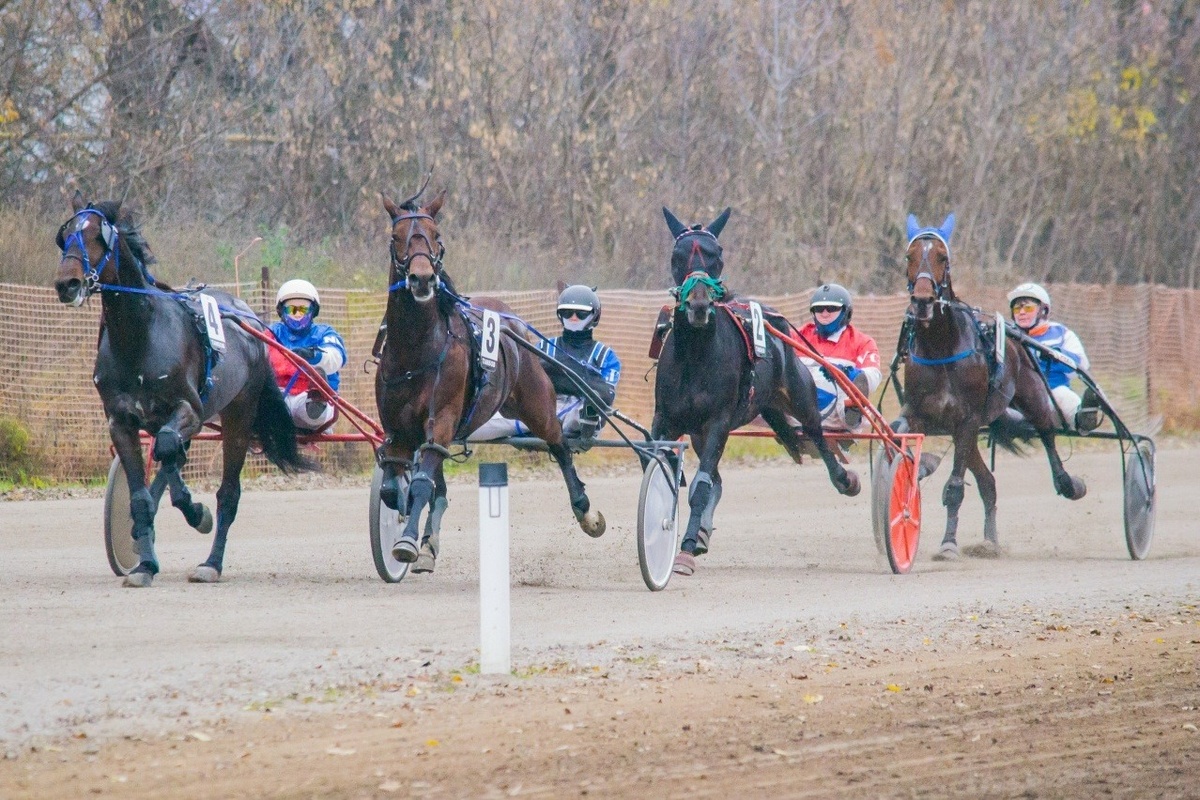 Фото: Тамбовский ипподром имени Семена Буденного
