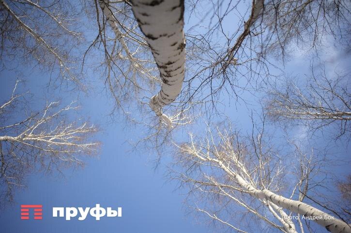    Фото: Пруфы.рф