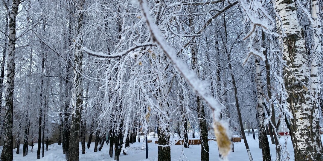 Метеоролог: устойчивых морозов в Татарстане не будет до конца декабря