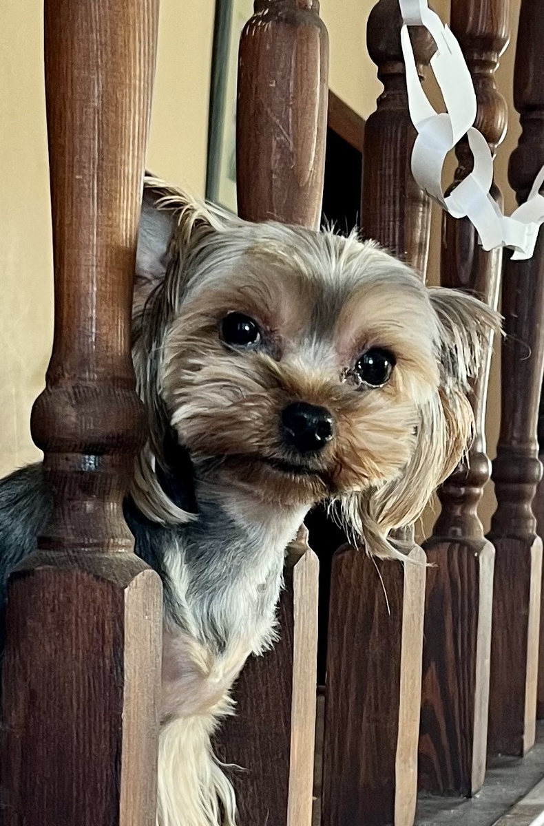 Привет! Скучали?