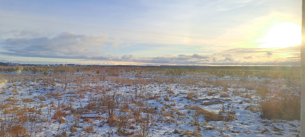 1 декабря 2024. Снега не так много, но он уже лег. Это север Удмуртии- здесь зима чуть раньше пришла (фото автора)