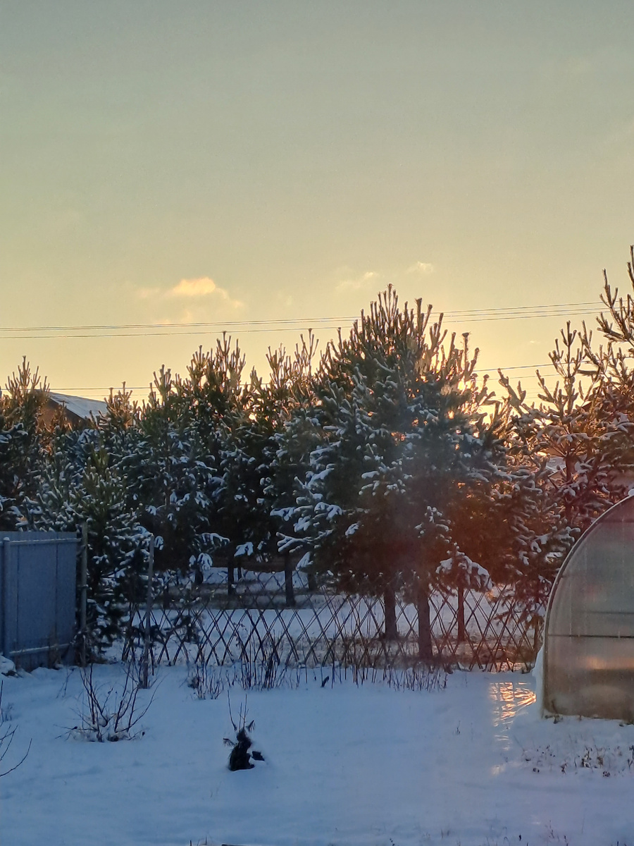 8 декабря 2025 года (фото автора)