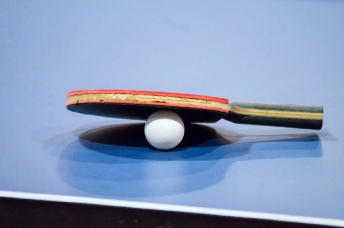    Тренера дисквалифицировали на полгода за удар по лицу сына-теннисиста