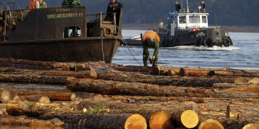Плотогоны - профессия не вымершая. Увидел их за работой в Сибири