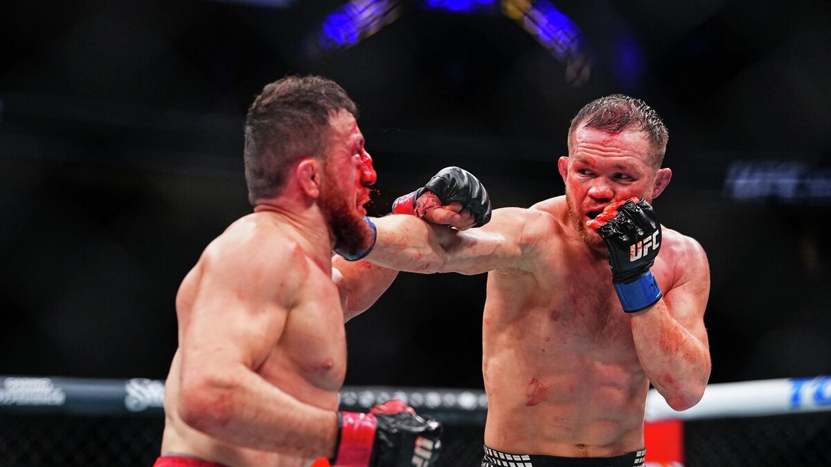 Двалишвили и Петр Ян,  выступают.  фото: яндекс.