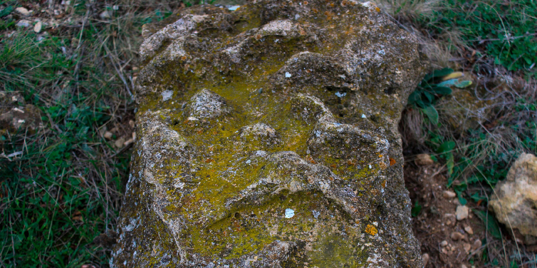 Скифское городище. В каком оно состоянии в наши дни?