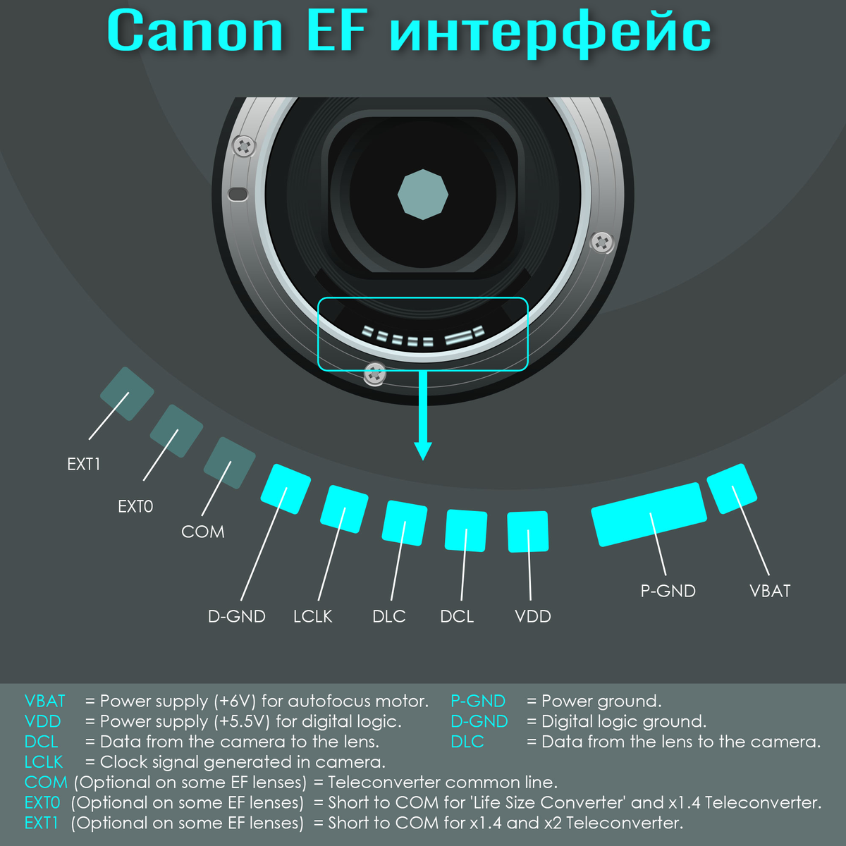 VBAT = Источник питания (+6 В) для двигателя автофокусировки. P-GND = Заземление питания. VDD = Источник питания (+5,5 В) для цифровой логики. D-GND = Заземление цифровой логики. DCL = Передача данных с камеры на объектив. DLC = Передача данных с объектива на камеру. LCLK = Тактовый сигнал, генерируемый камерой. COM (опционально для некоторых объективов EF) = Общая линия телеконвертера. EXTO (опционально для некоторых объективов EF) = Сокращение до COM для "конвертера в натуральную величину" и телеконвертера x1.4. EXT1 (Опционально для некоторых объективов EF) = Сокращение до COM для телеконвертеров x1.4 и x2.