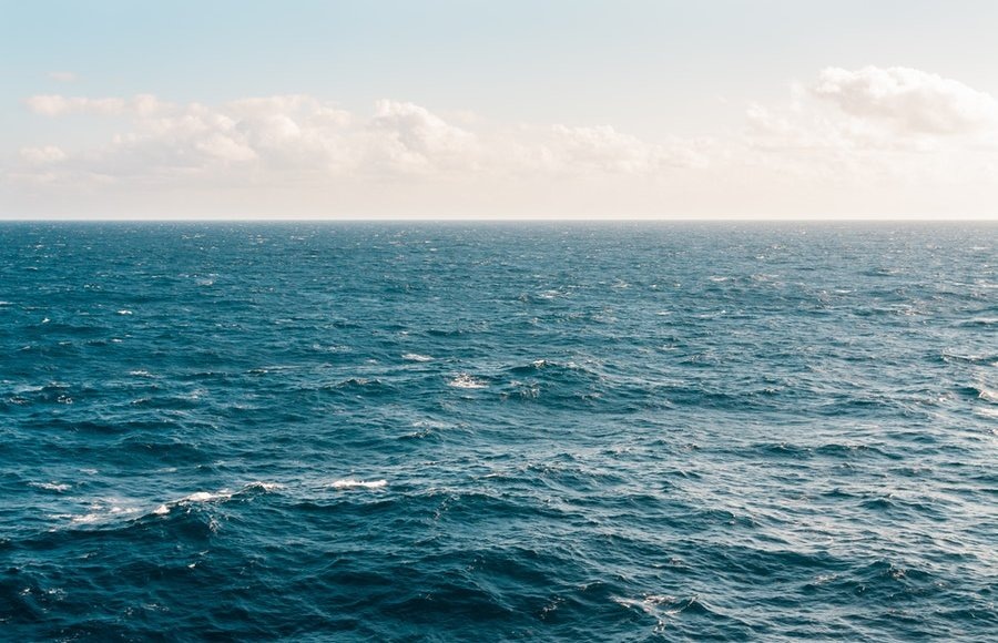    Фото: Kellie/pexels.com