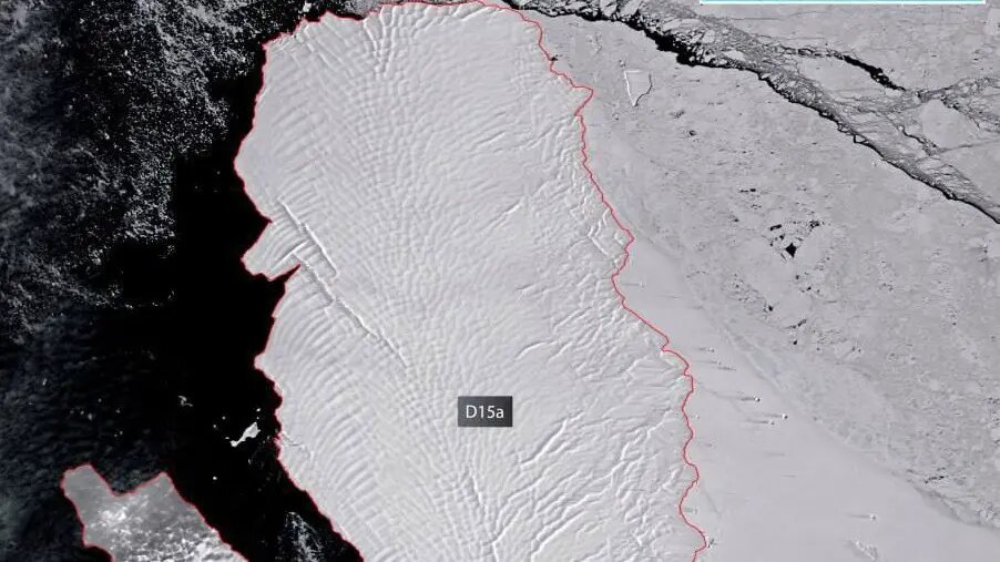    Фото: vm.ru Олеся Шмелева