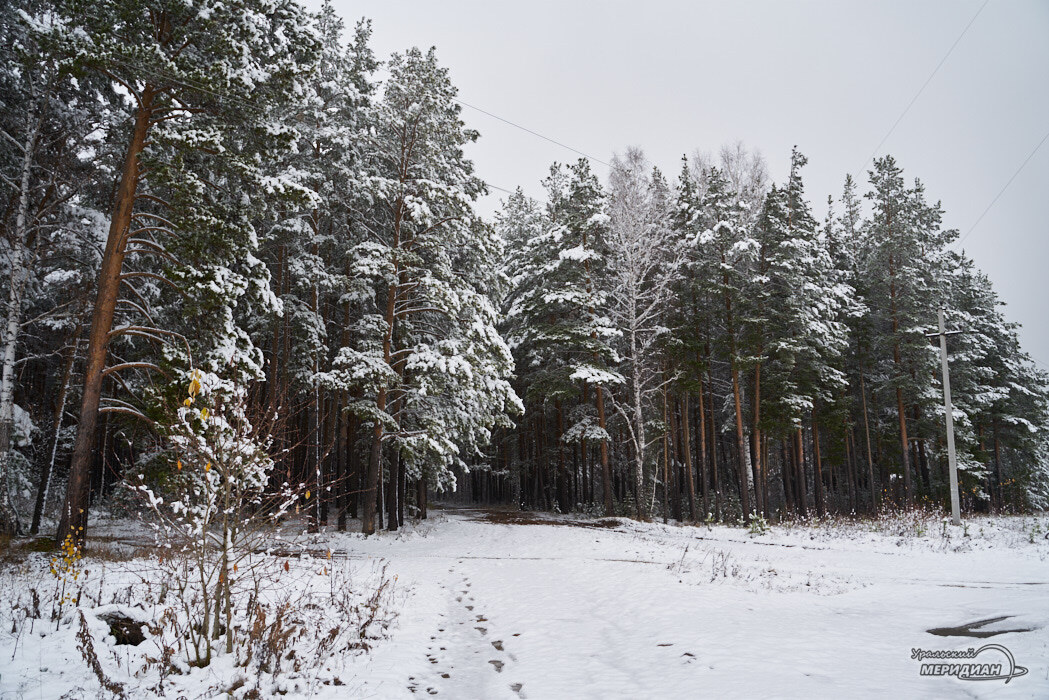    Фото Лидия Аникина © ИА «Уральский меридиан»