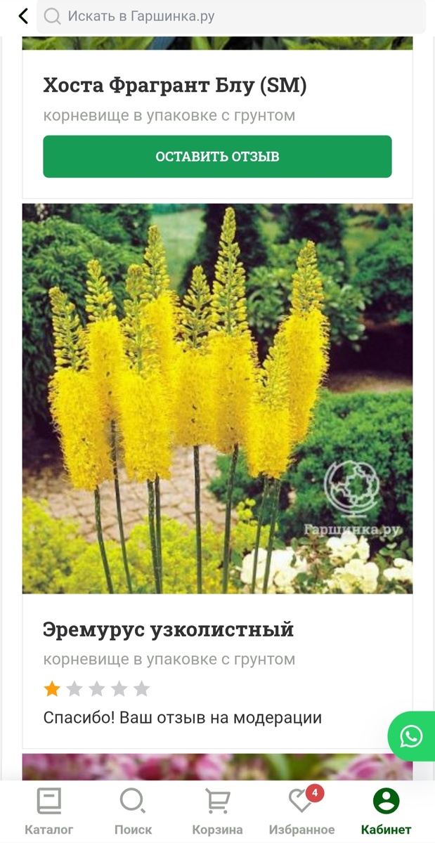 1 звезда, отзыв который я оставила