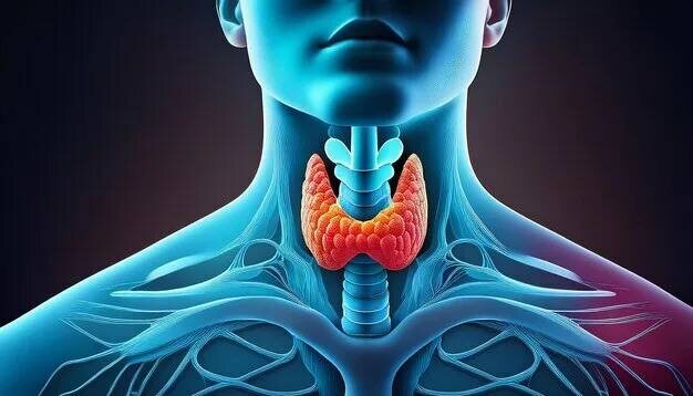 Как заболевания щитовидной железы могут повлиять на ваше здоровье: что важно знать?
