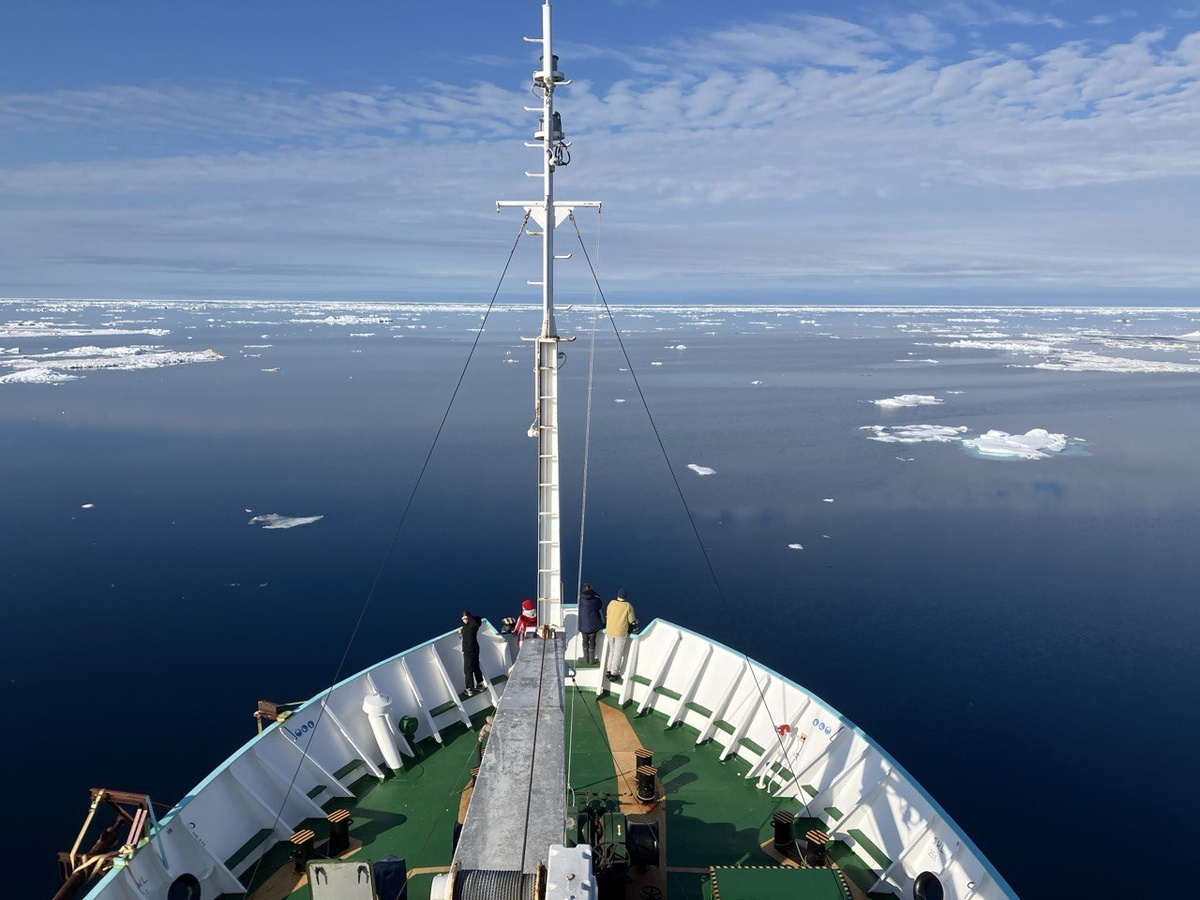 Синие воды Карского моря вне областей опреснения. Источник: Александр Осадчиев
