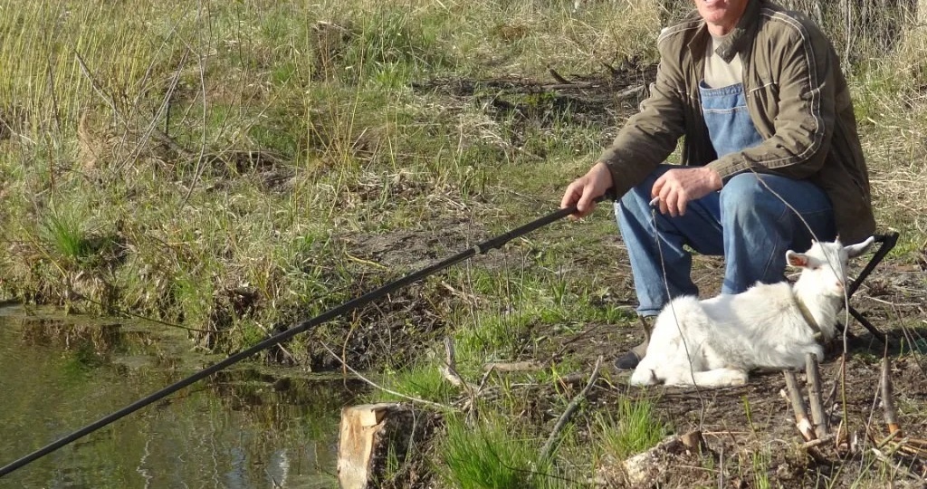 Козы, куры, картошка или что я хочу сказать в своё оправдание