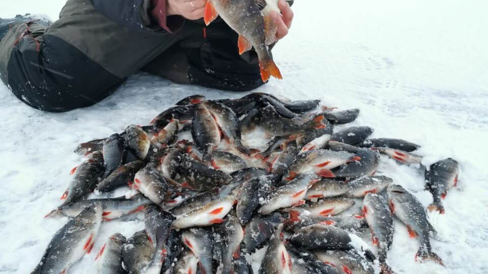 Открытия льда последних лет