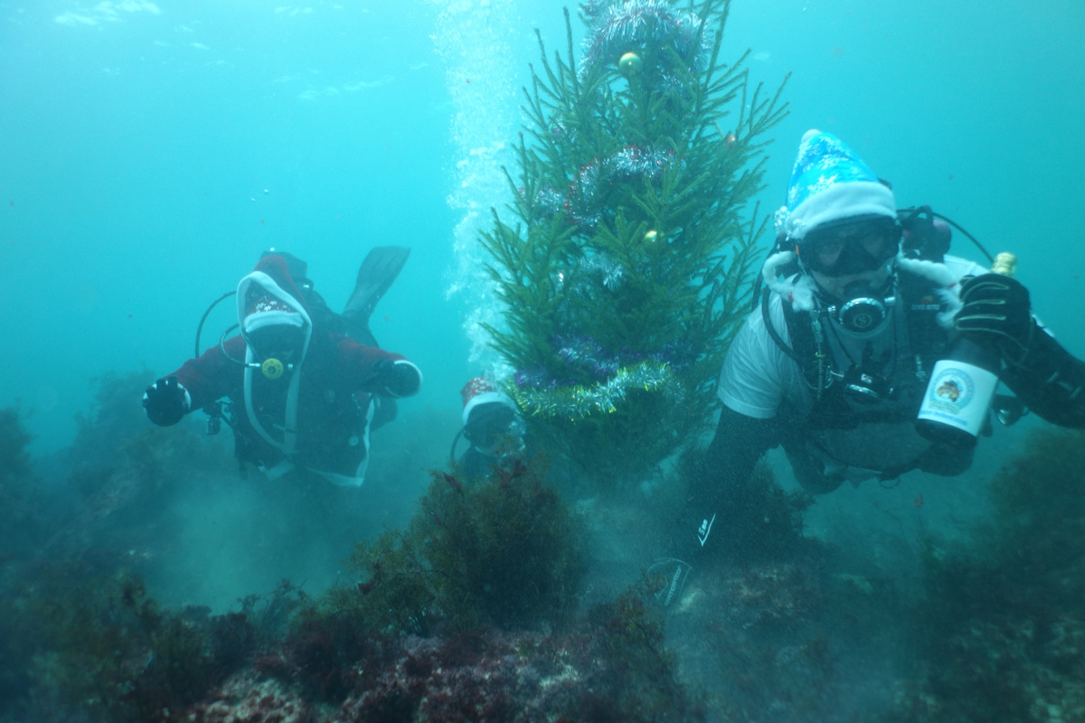 Новый год под водой // Фото со страницы дайв-клуба «Матёрые бобры» в ВК
