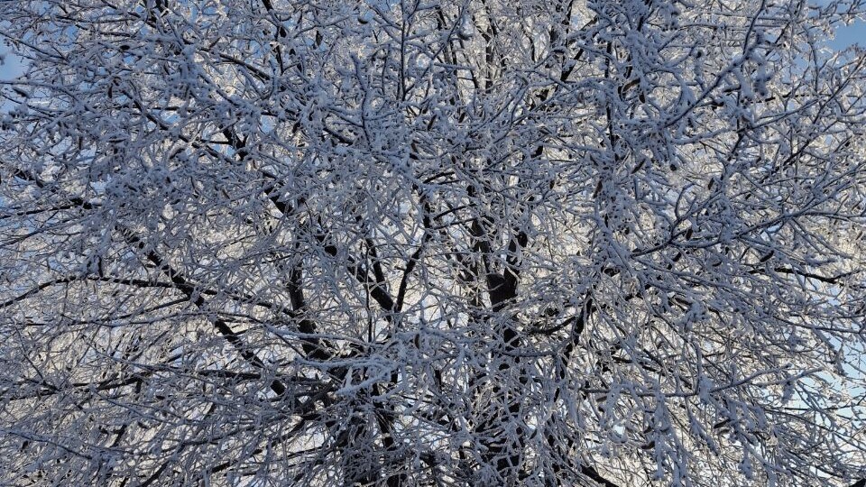 Облапошили парня