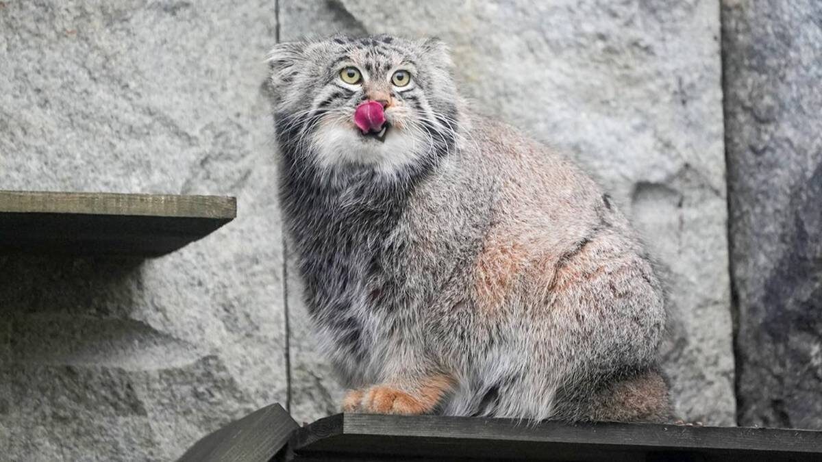    Фото: Пресс-служба Департамента культуры города Москвы