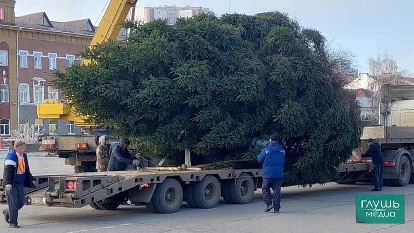   Фото: читатель для «Глушь медиа»