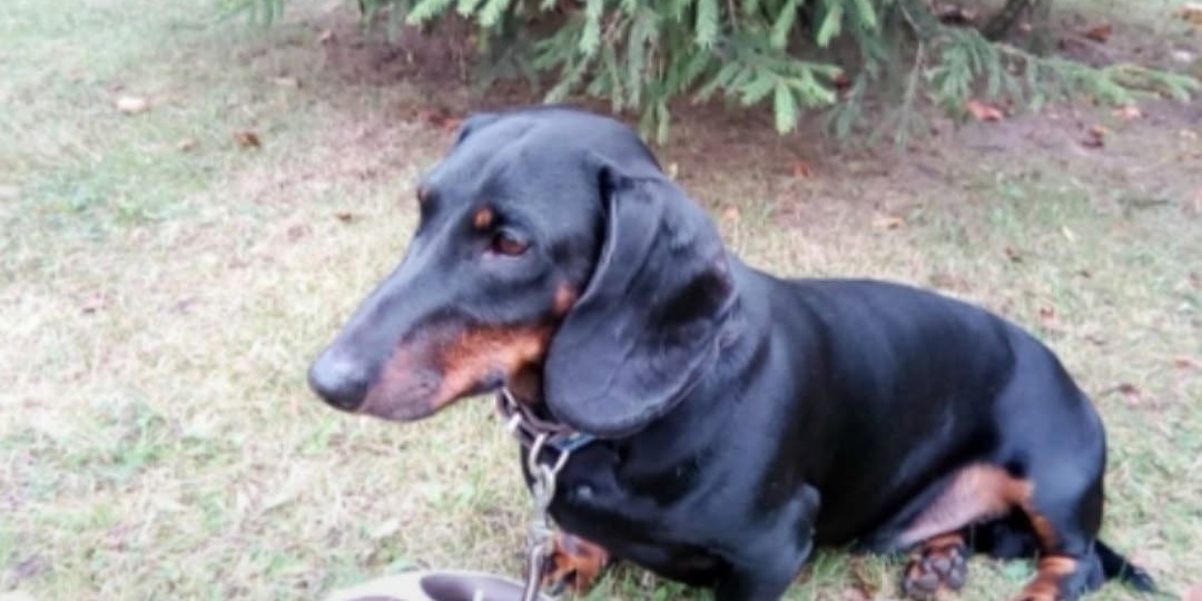 📣 ПЕТЕРБУРГ и ЛО