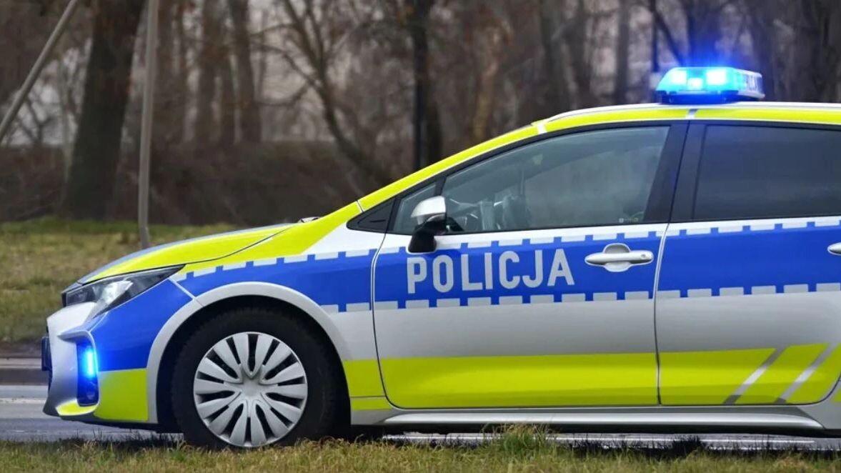    Фото: FotoDax/Shutterstock/Fotodom