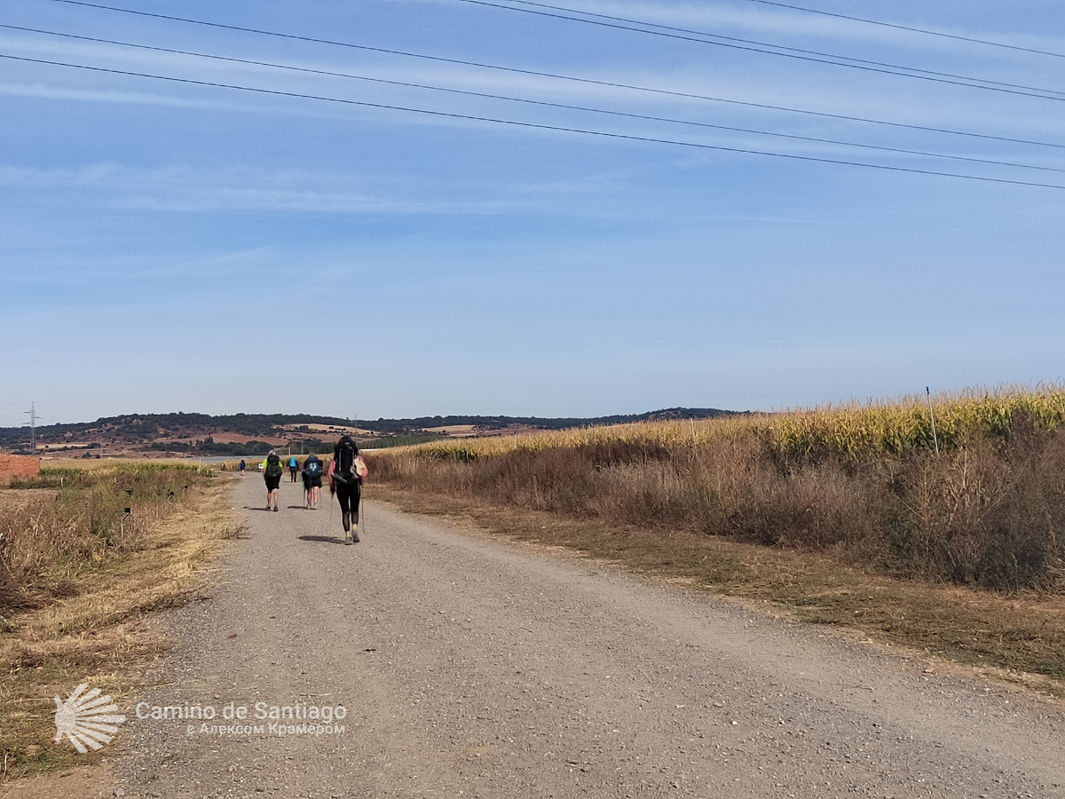 Засушливая Месета и пилигримы