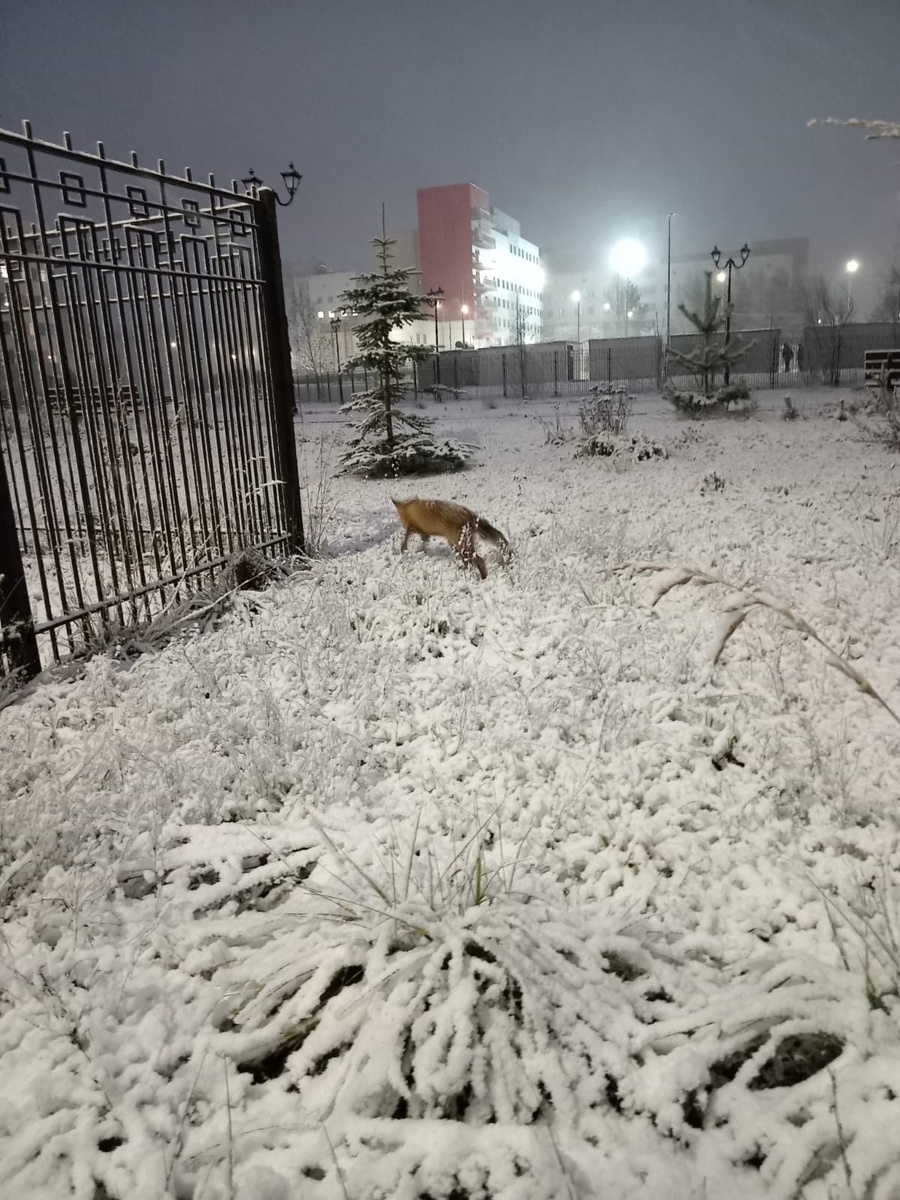    фото: © Республиканский перинатальный центр им. Гуткина